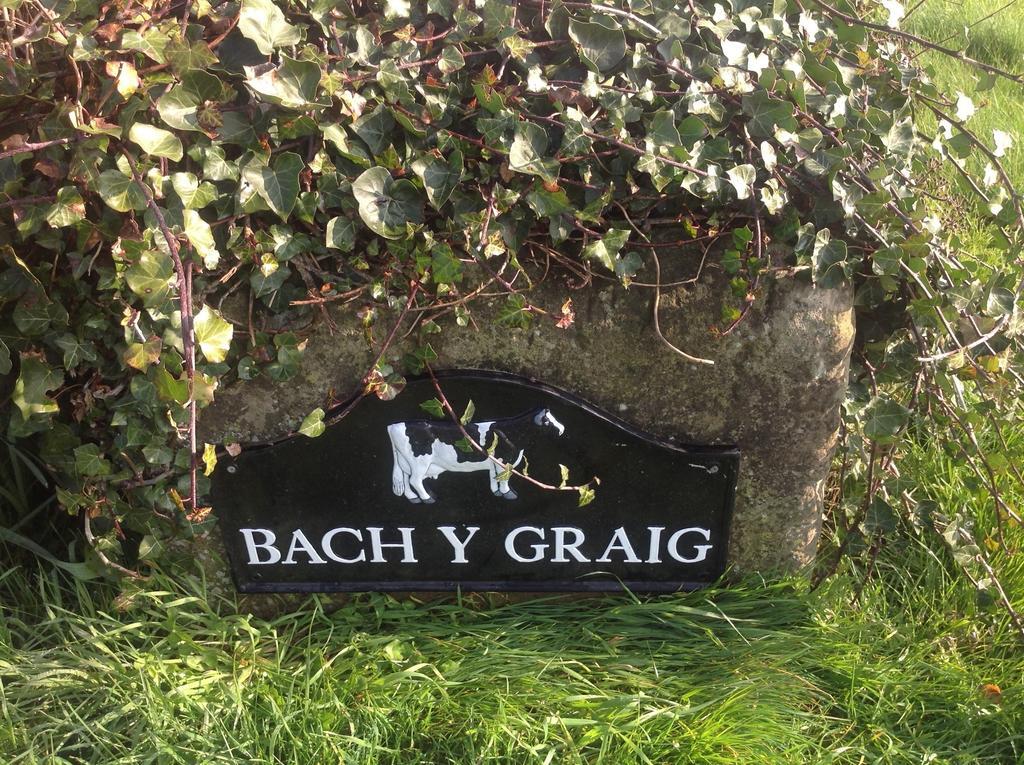 Bach Y Graig Hotel St. Asaph Exterior photo